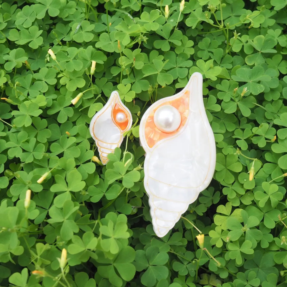 Banded Tulip Seashell Hair Claw