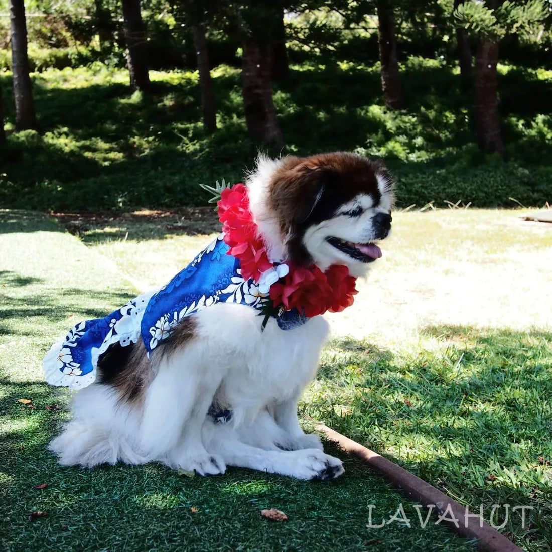 Electric Blue Hawaiian Dog Dress