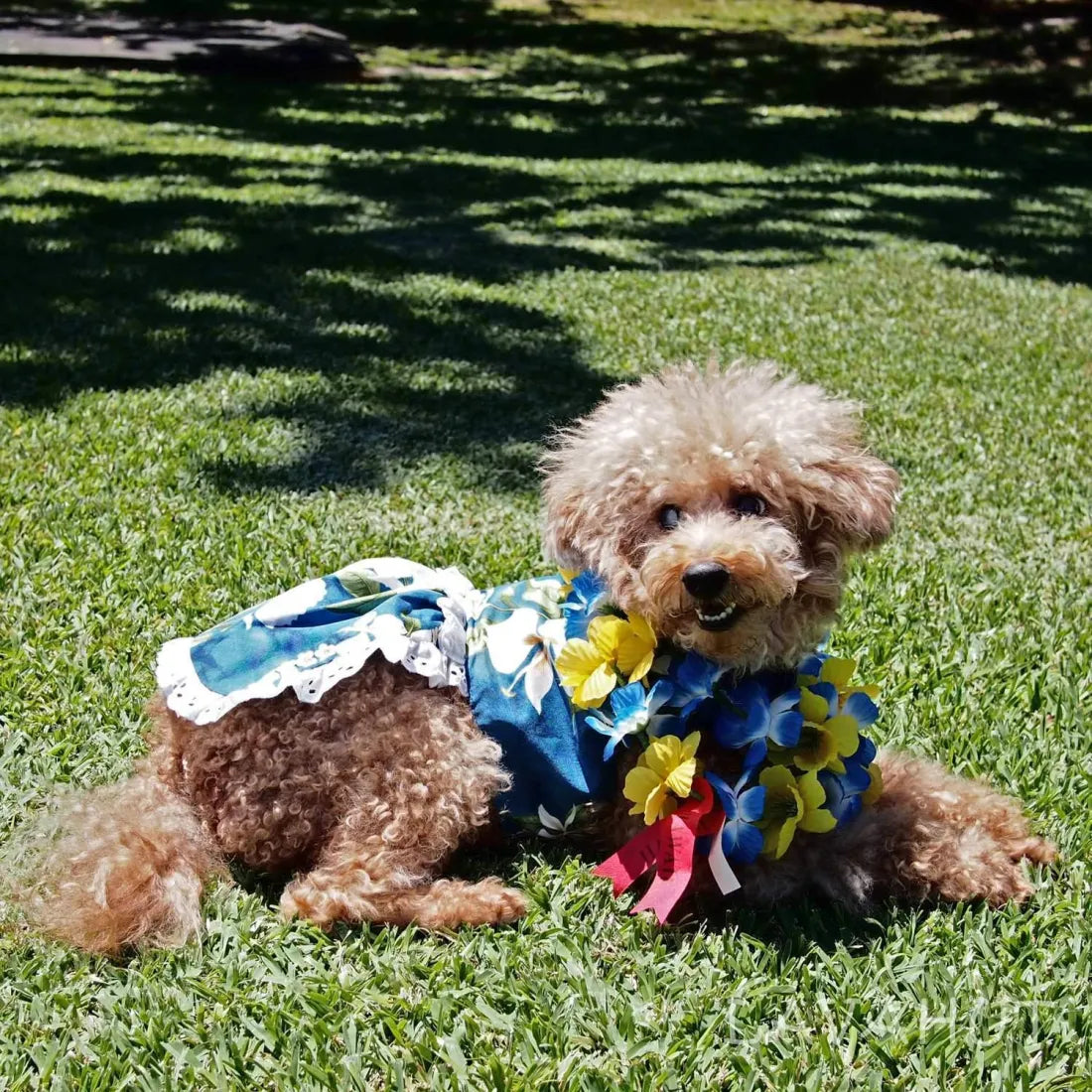 Ginger Blue Hawaiian Dog Dress