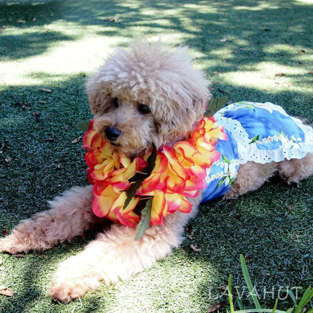 Orchid Purple Hawaiian Dog Dress